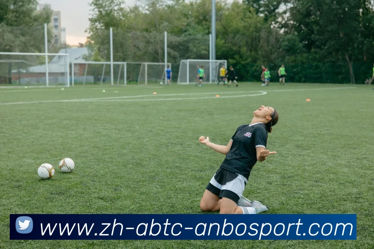 安博体育APP 封面图